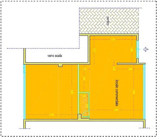 Casella di testo:     